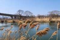 마음산책 (천안 성정동성당)