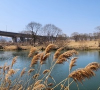 마음산책 (천안 성정동성당)
