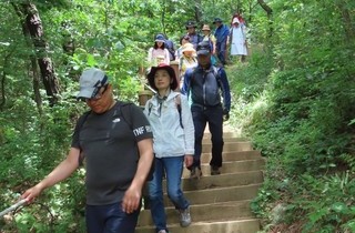 이미지샘플