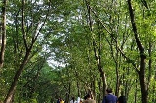 이미지샘플